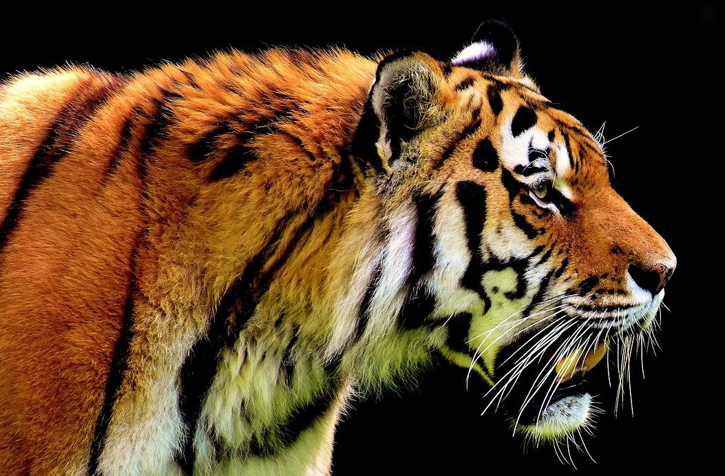 오늘의-운세-2023년-12월-17일-오늘의-띠별-운세