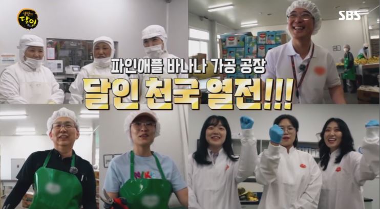 파인애플 바나나 달인