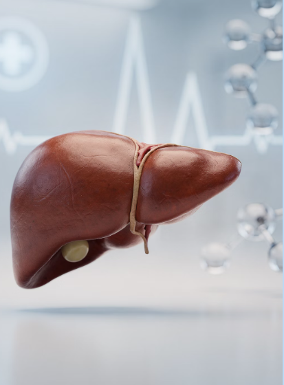 간수치 내리는 방법