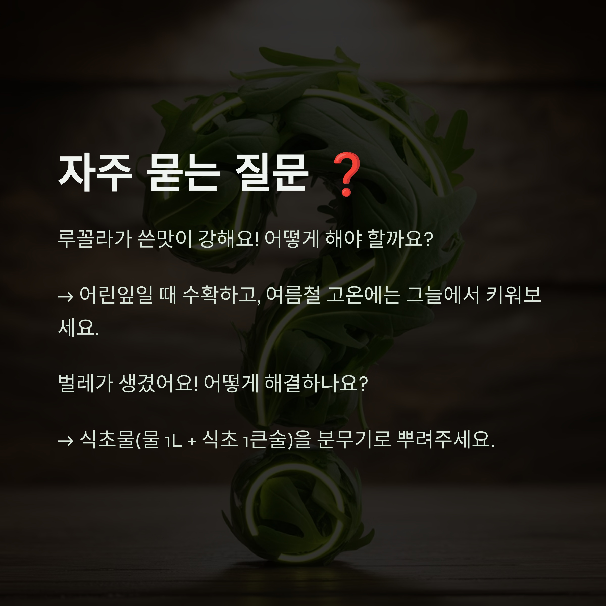 자주 묻는 질문