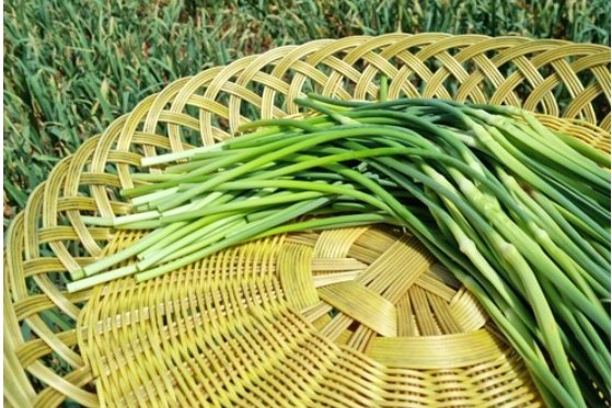 마늘쫑과 마늘의 차이점