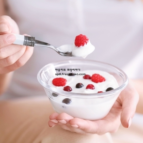 유산균 효능