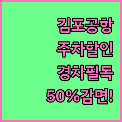 김포공항 저공해 차량 및 경차 주차 ..