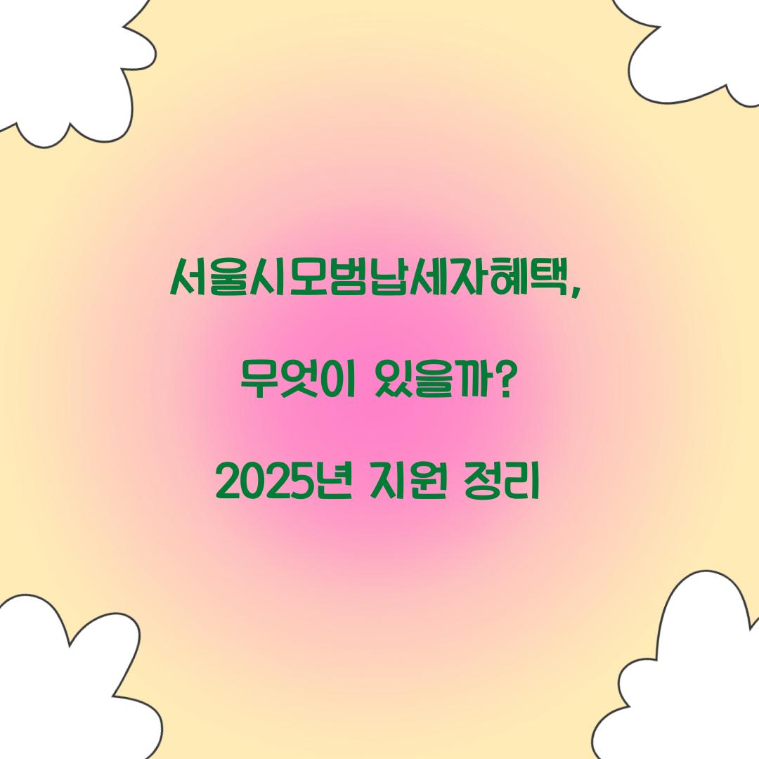 서울시모범납세자혜택