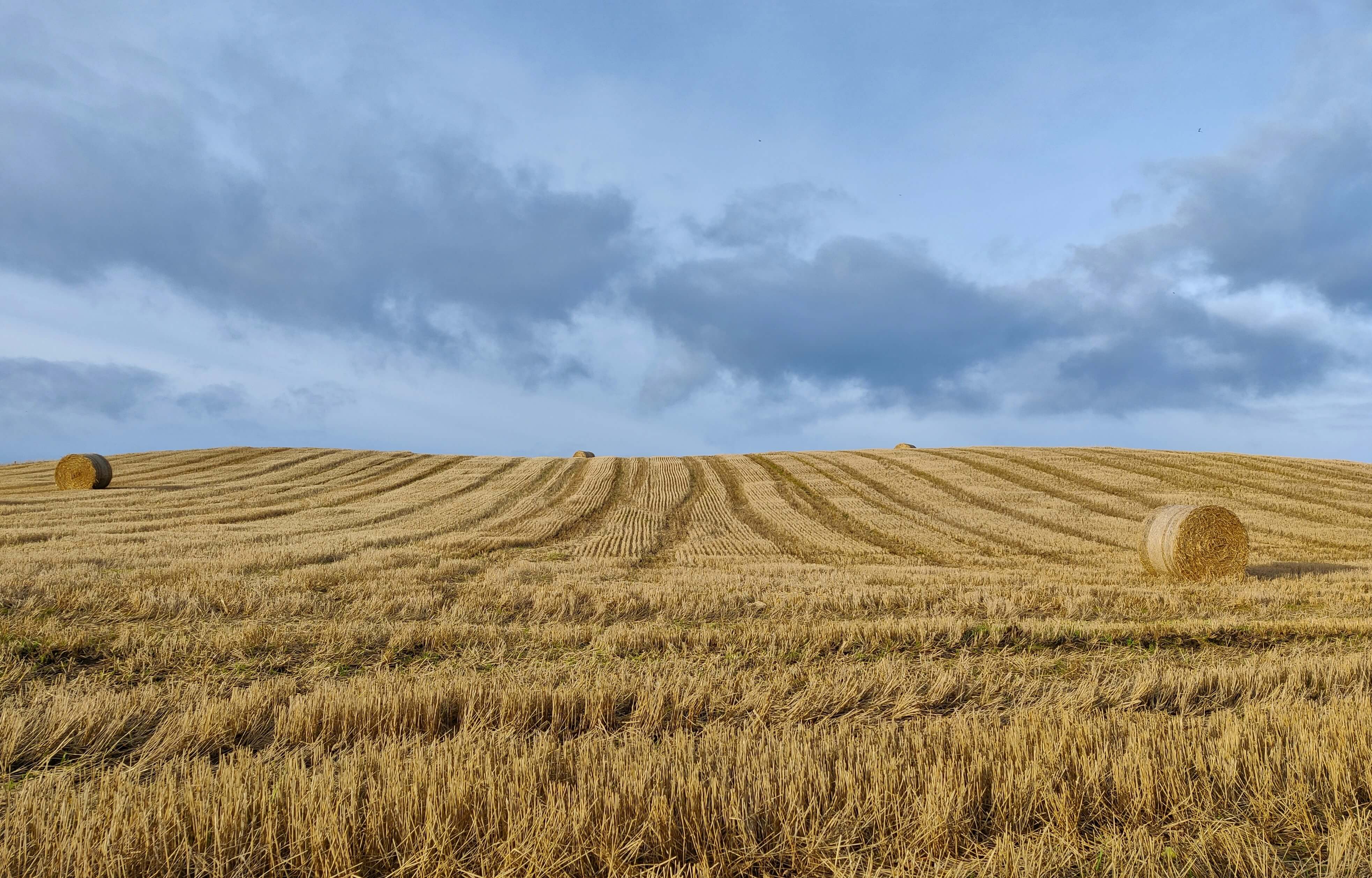 농취증제출시기