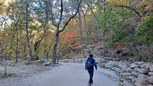 설악산_단풍여행_총정리