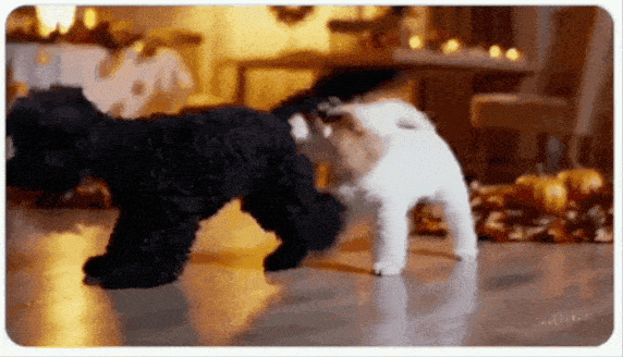 오픈AI '소라'로 제작된 영상