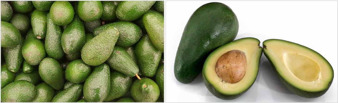 초록색-아보카도-사진들