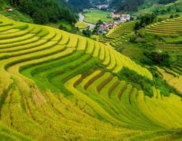농업e지 농림축산식품부 