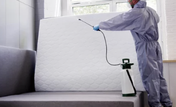 바퀴벌레 퇴치하는 사진