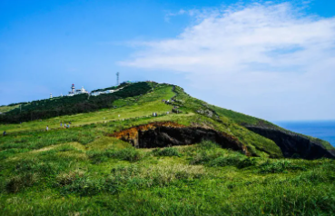 제주 성산항 우도 배시간표
