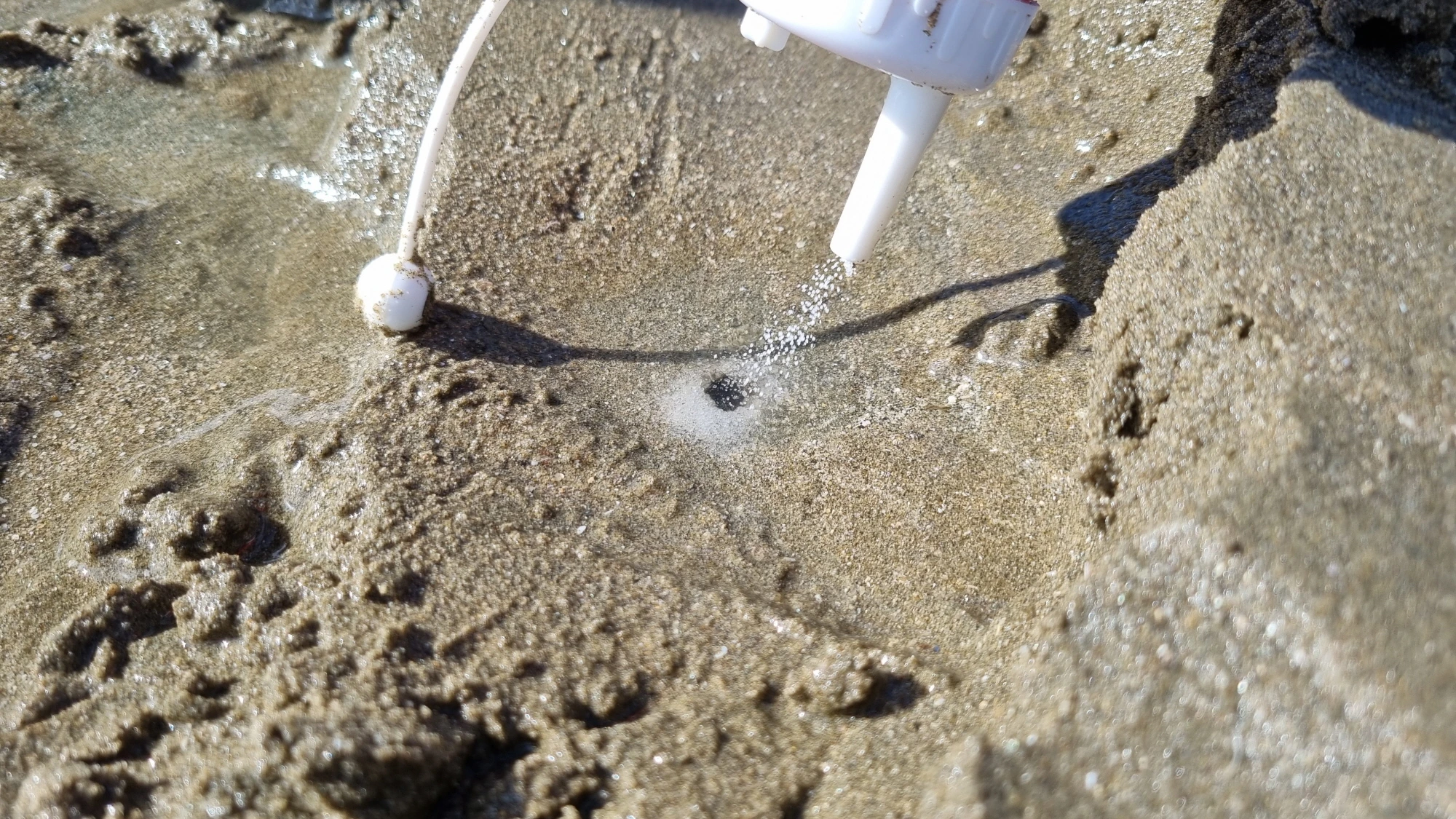 소금 넣는 모습