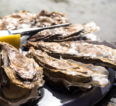 굴 효능 부작용 칼로리