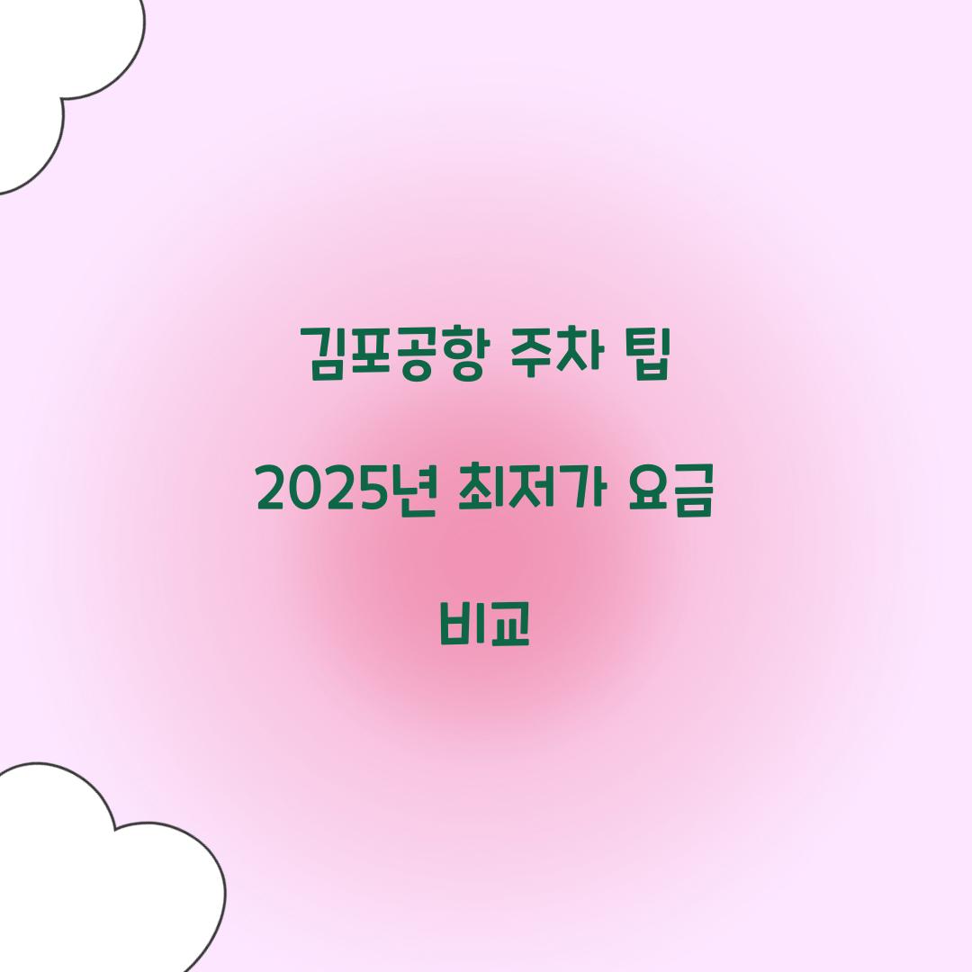 김포공항 주차