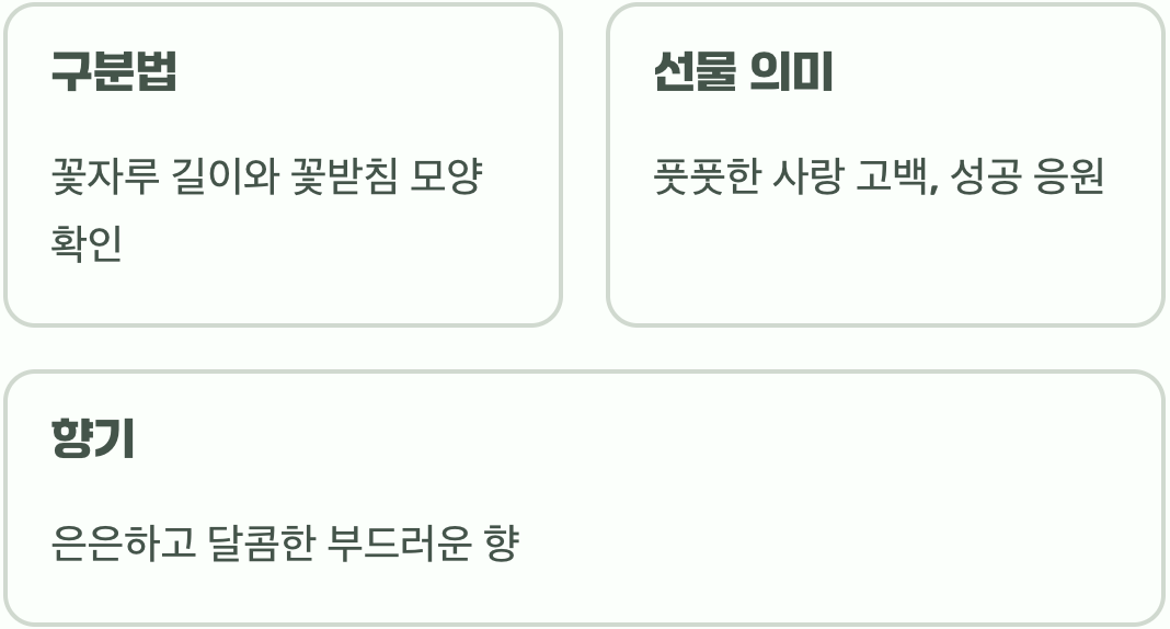 살구나무 꽃말 소박하면서도 은은한 아름다움을 상징하는 의미 정리