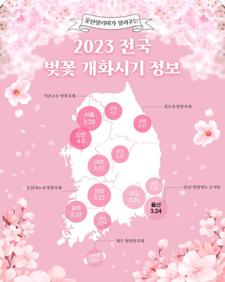 2023 벚꽃 개화시기