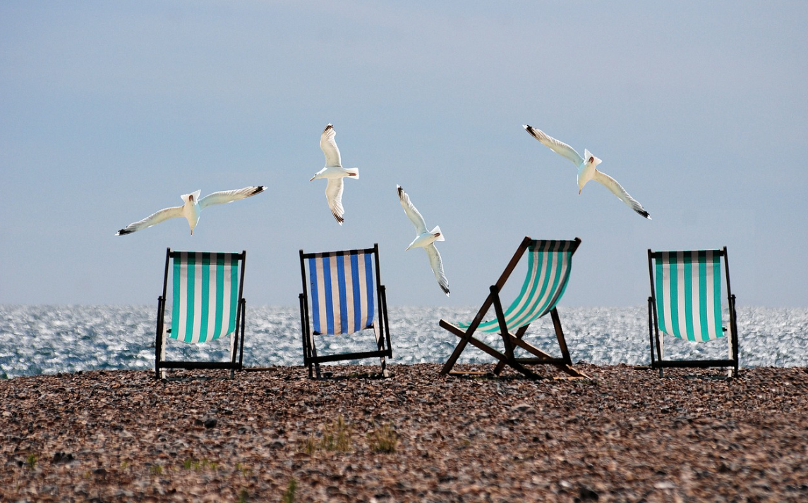 바닷가에 빈의자들과 날아다니는 갈매기의 모습