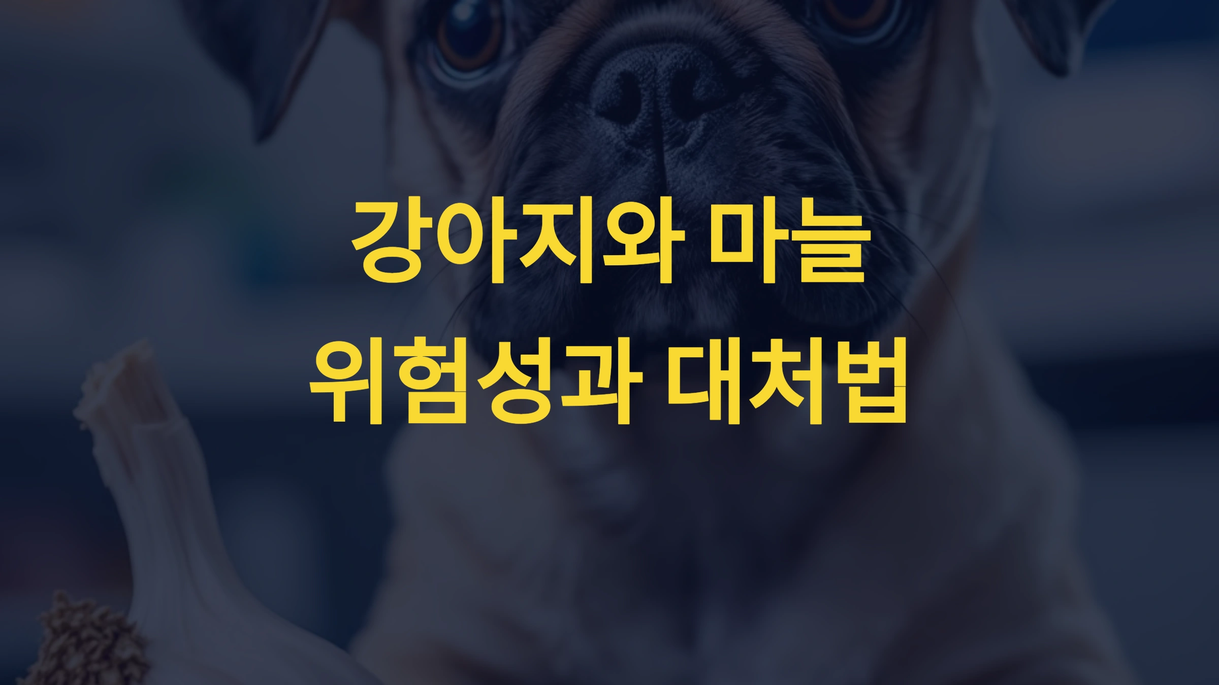 마늘의 독성 효과
마늘의 독성 효과