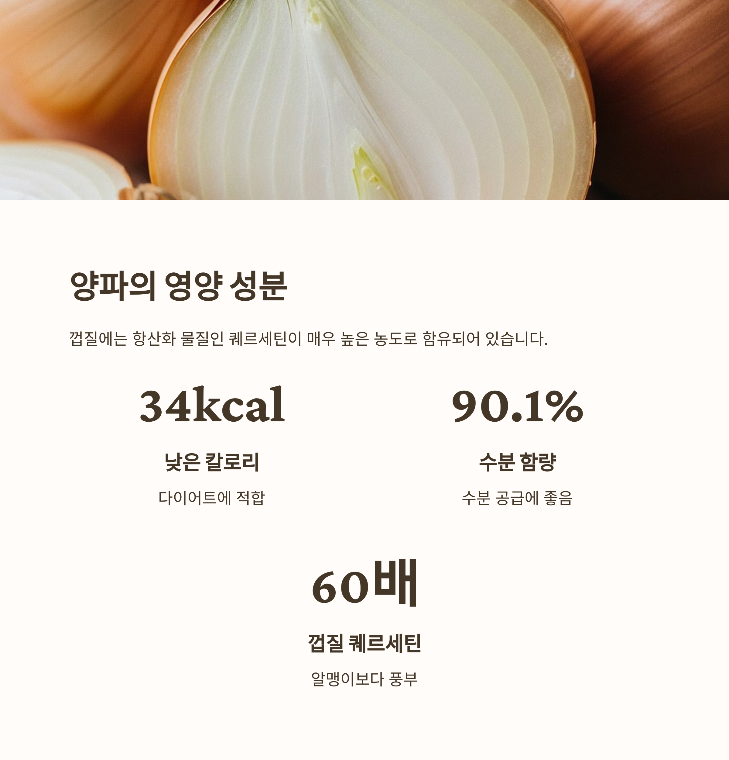 양파의 영양 성분