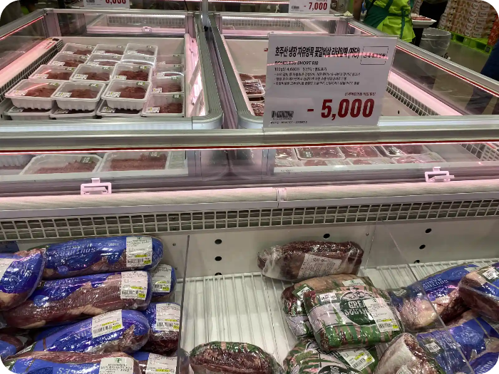 트레이더스 고양