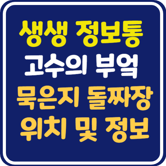 생생 정보통 대전 묵은지돌짜장면 식당 위치 및 정보 : 고수의 부엌