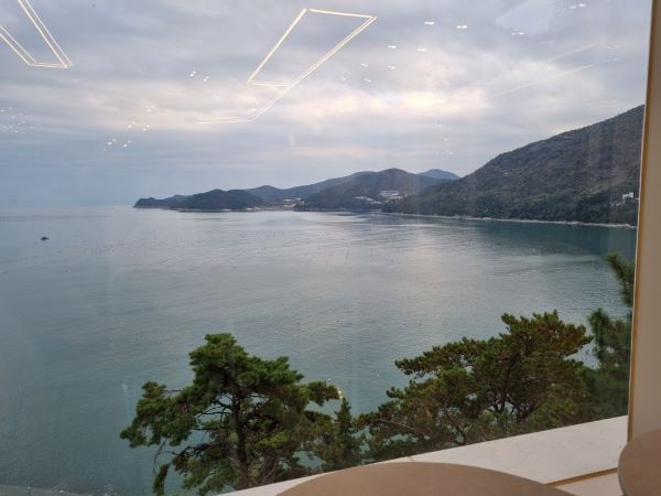 모이핀 오션