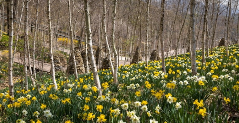 생생정보 고수의 부엌 곤지암 화담숲 근처 묵은지 등갈비찜과 석쇠불고기 맛집 곤지암 웅골