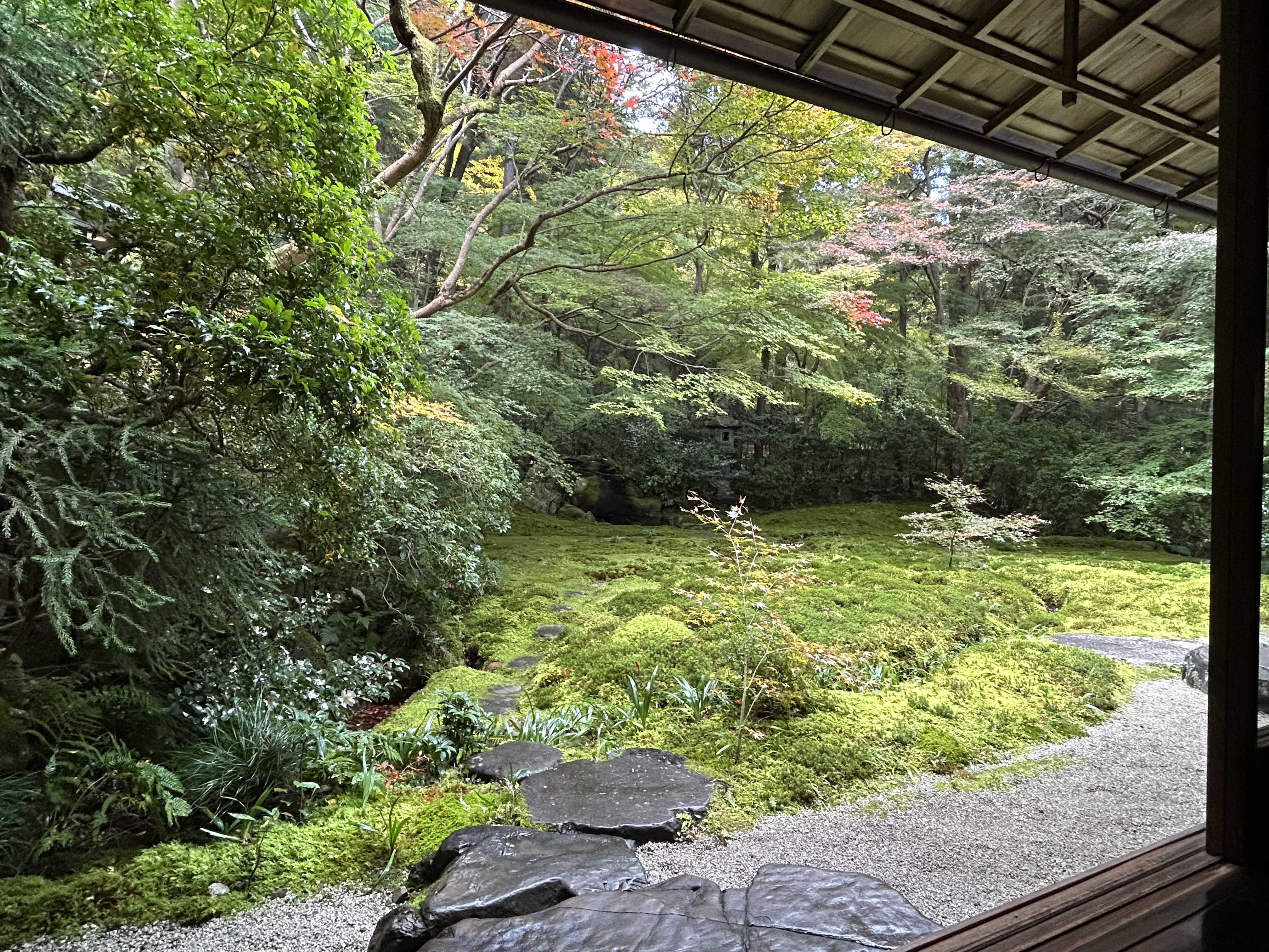 오사카 현지인도 간다! 교토 루리코인 가을단풍 명소 후기 관련사진