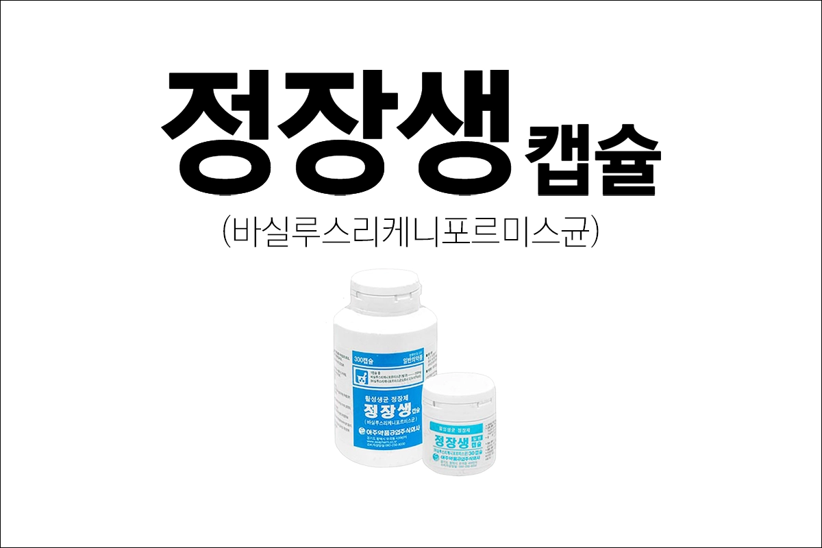 정장생캡슐 효능 효과 바실루스리케니포르미스균 설사약 정장제 장염 이질