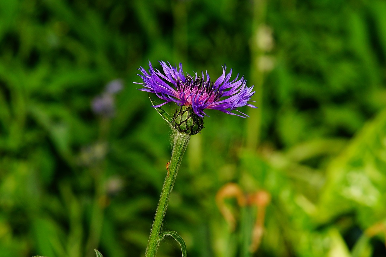 소득 상위 10% 연봉