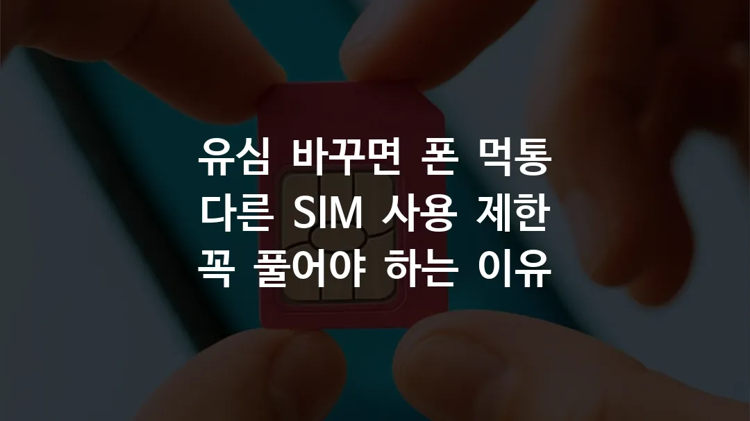 유심 바꾸면 폰 먹통, 다른 SIM 사용 제한 꼭 풀어야 하는 이유