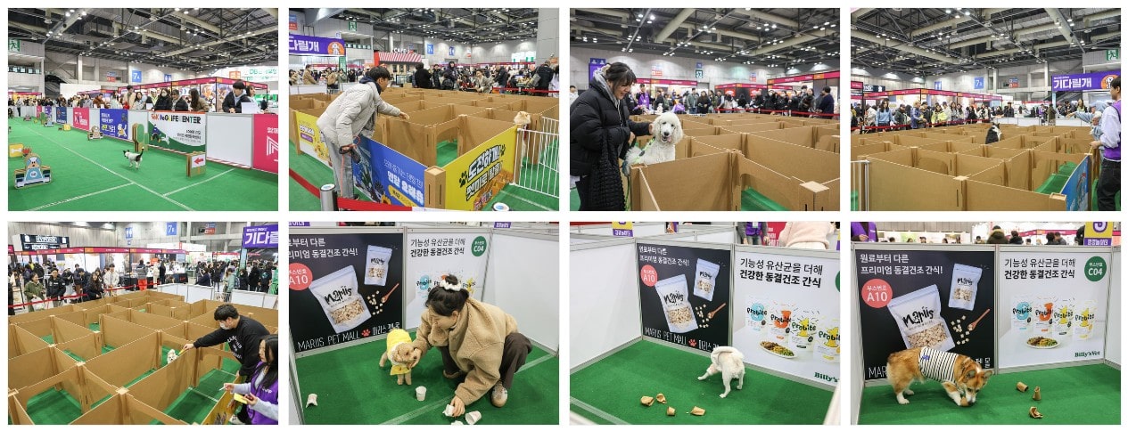 2024 마이펫페어 일산 part 2 사전 등록 신청하기