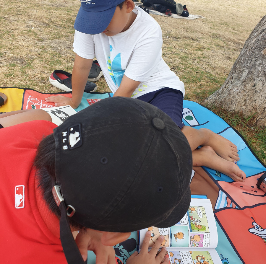 Browns Bay Beach Reserve