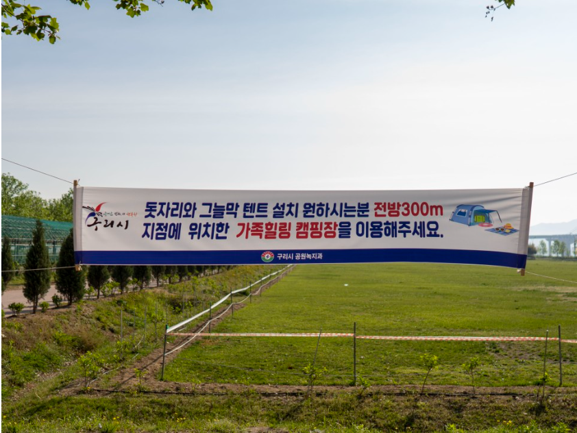 2023.구리 유채꽃축제.유채꽃 한강예술제.유채꽃 개화현황.주차