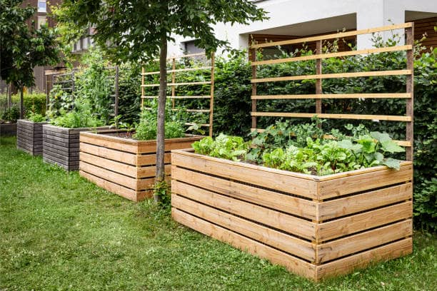 도시 농업과 야생화의 접점: 지속가능한 도시 정원 만들기