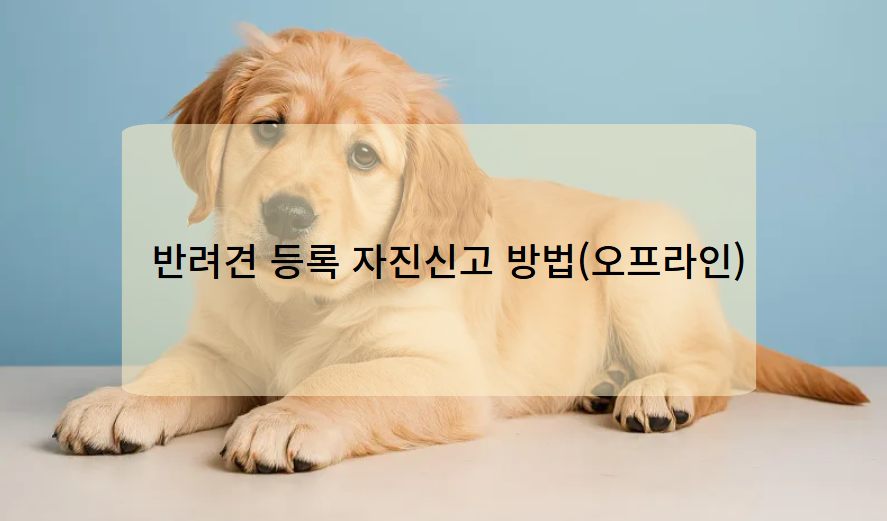 반려견 등록 자진신고 방법(오프라인)