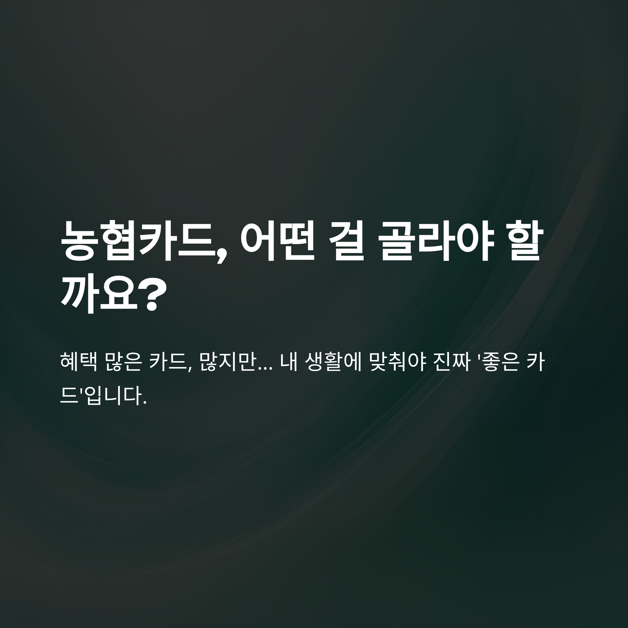 농협카드 추천 총정리｜체크·주유·쇼핑·여행별 BEST 카드 비교 가이드