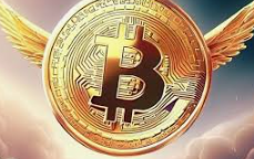 지토 코인 가격