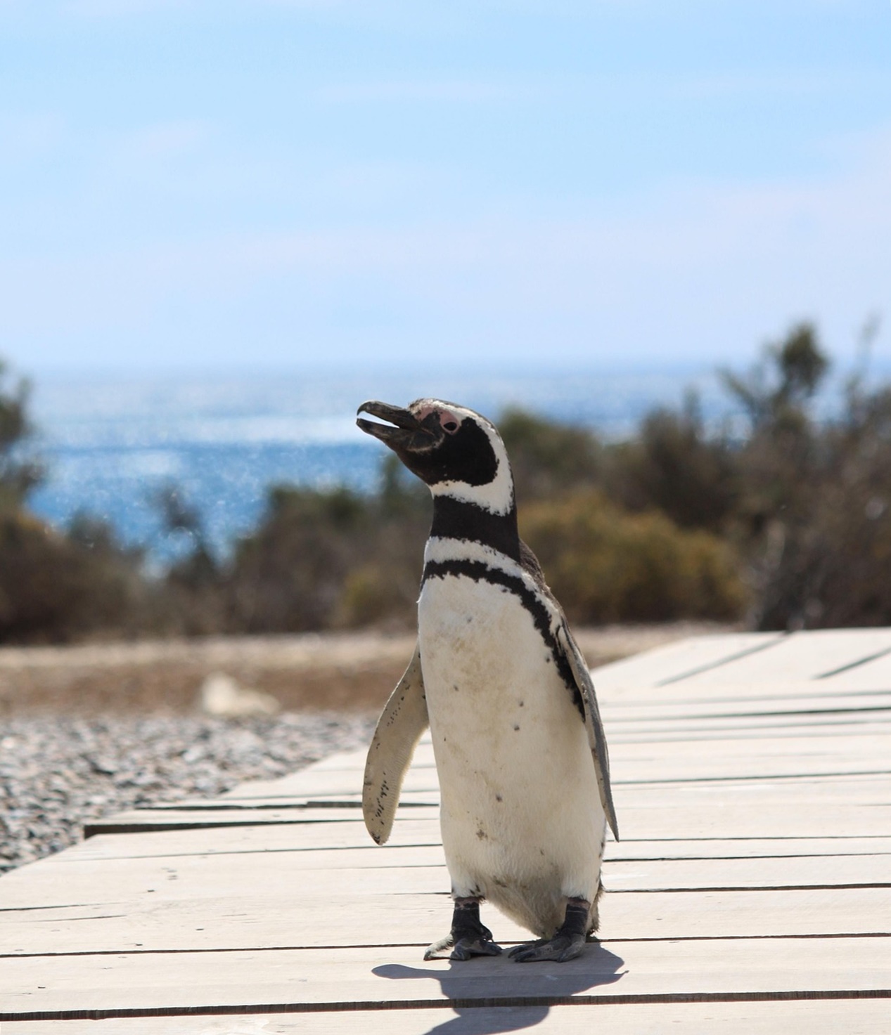 기후 재난이 일상이 된 이유 지금 이 순간에도 진행 중인 5가지 경고 신호