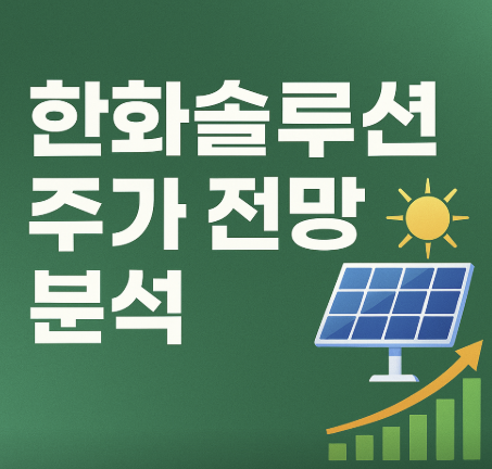 한화_관련_사진