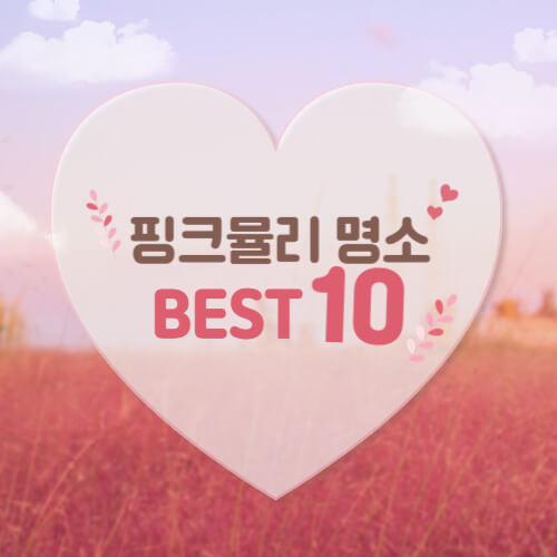 핑크뮬리 (Pink Muhly)
핑크뮬리 절정 시기 (Pink Muhly peak season)
핑크뮬리 명소 (Pink Muhly spots)
핑크뮬리 사진 촬영 팁 (Pink Muhly photography tips)
가을 꽃 (autumn flowers)