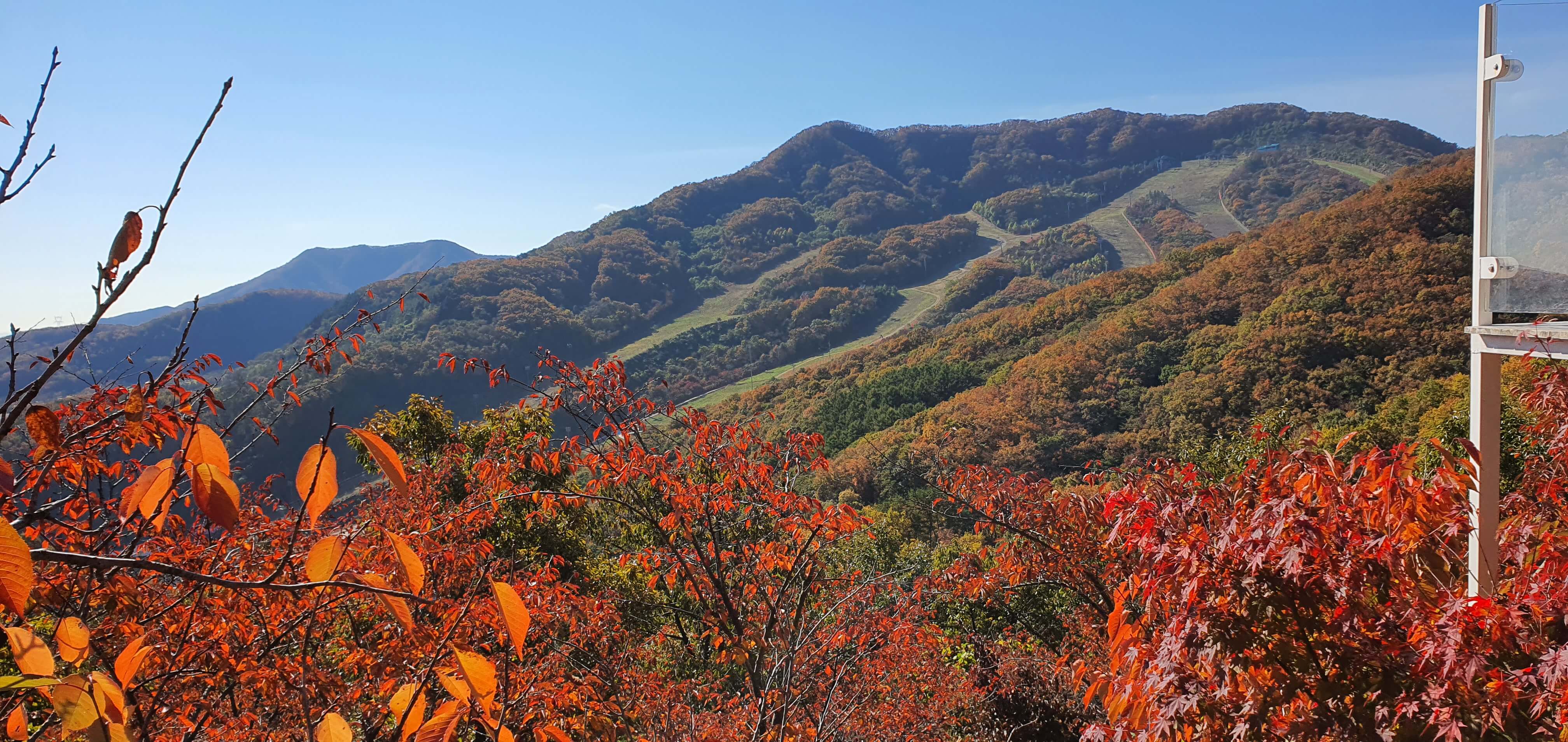 화담슾 
