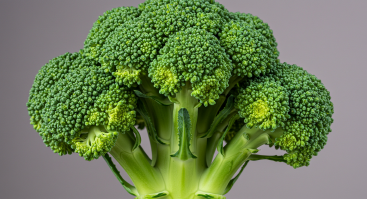 Broccoli