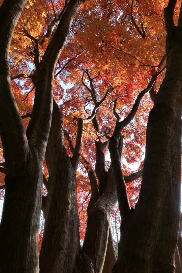 10월 지역 축제 충남 충북 가을 축제 정보