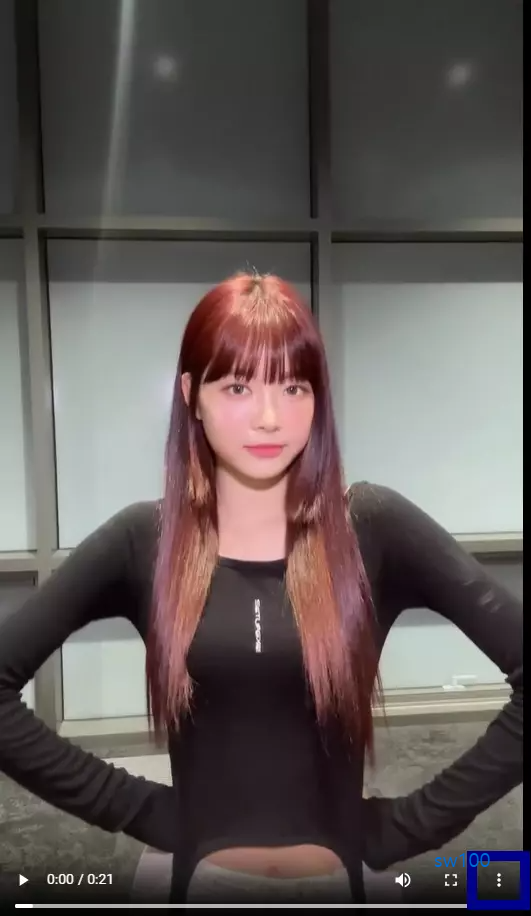 광고 없는 iGram 사이트 사용법 4