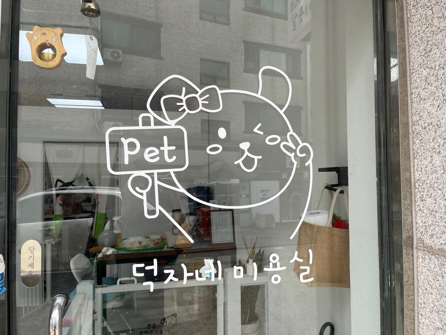 경기 광주 양벌동 애견미용, 강아지 미용, 덕자네 미용실