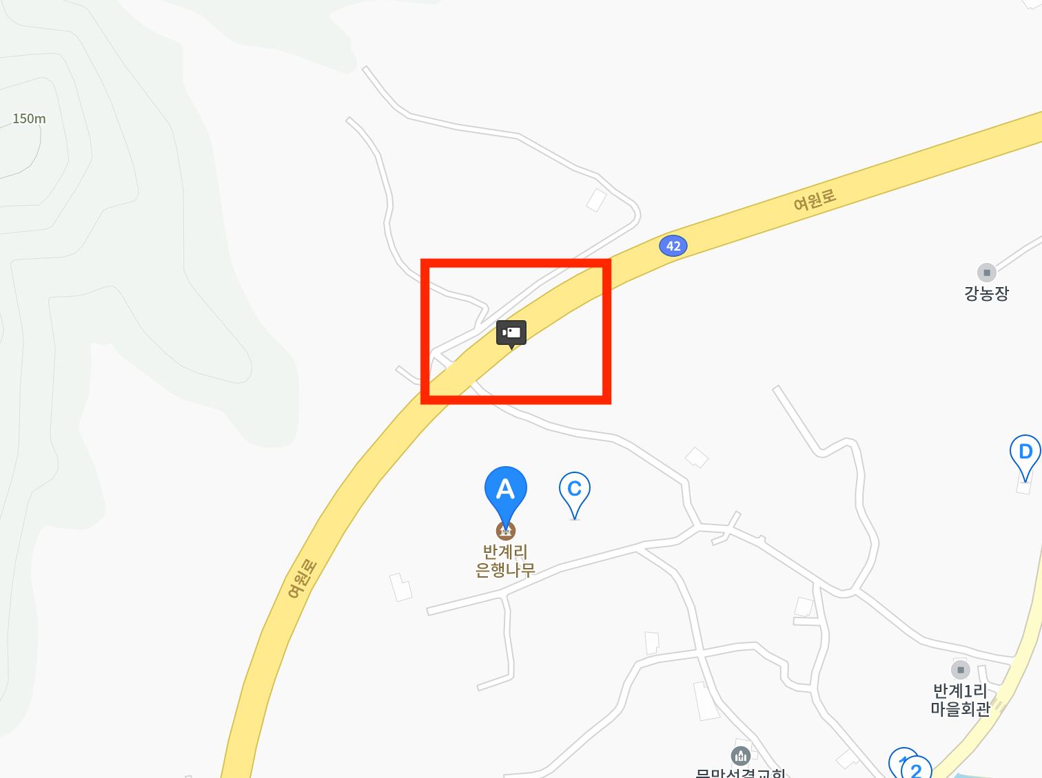 반계리 은행나무 실시간3