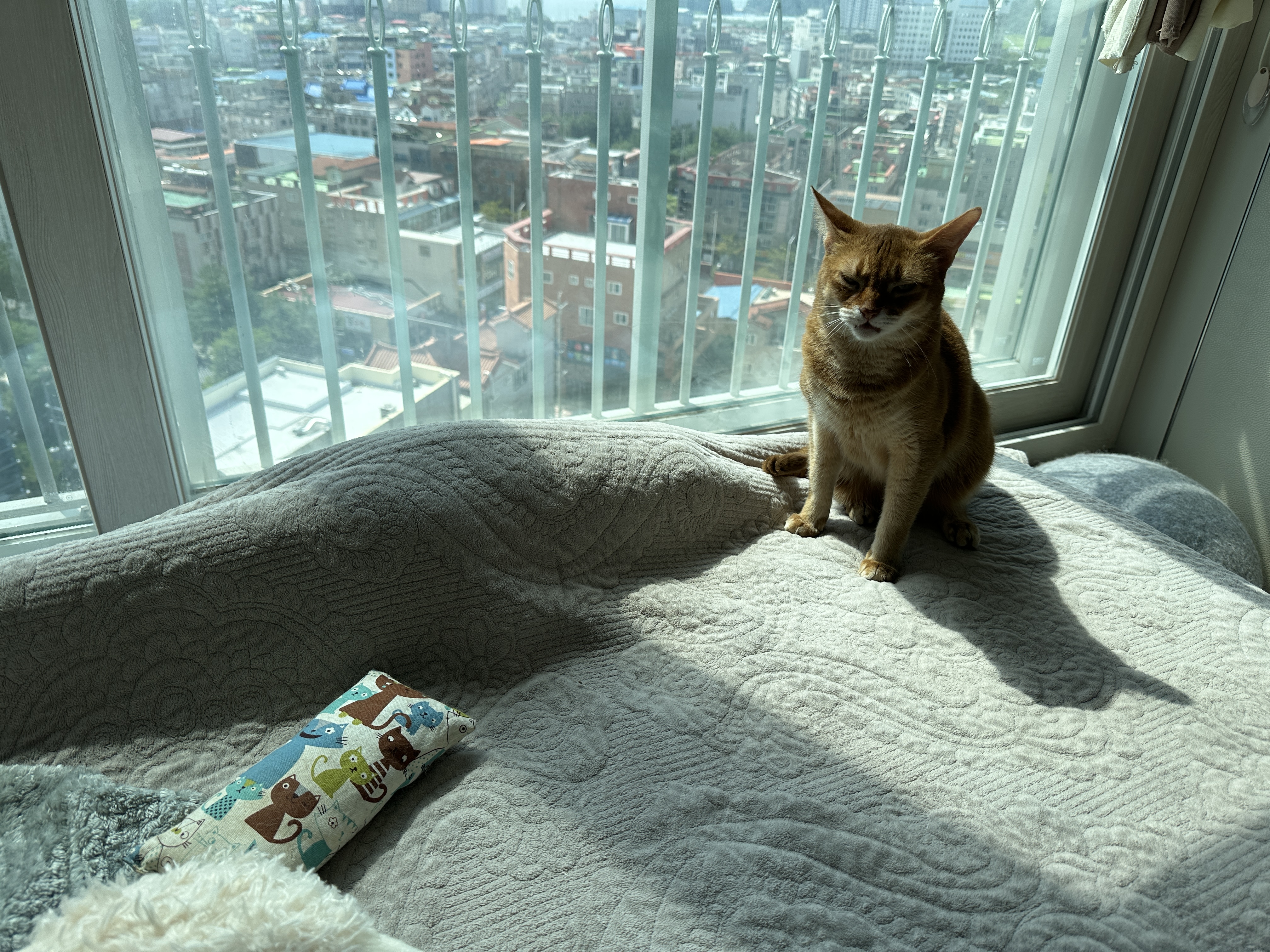 이불_아래에_들어가_있는_건이와_옆에_앉아_있는_루나