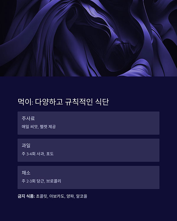 앵무새 먹이와 급식 루틴