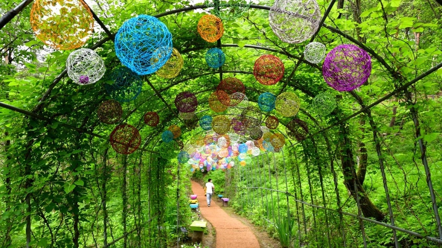 동화마을 수목원 관련 사진